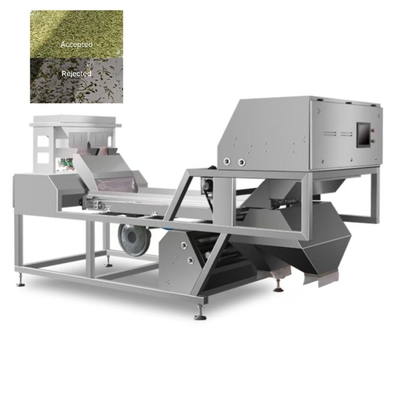 Tipo de cinturão de AI Basílica Color Sorter para ervas secas e especiarias.