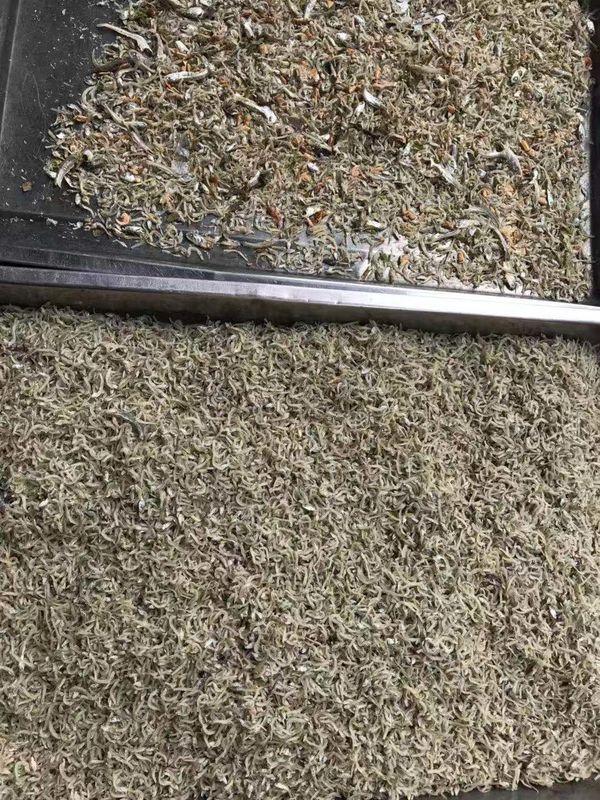 Máquina de classificação ótica de 64 canais para a função de classificação secundária do camarão