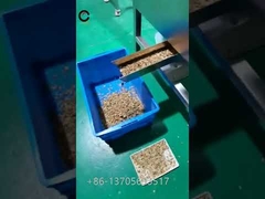 Circulating Wind Sorting Machine For Separating Walnut Shell Out Of Kernels