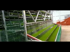 Upward circulating movement seedlings cultivating equipment