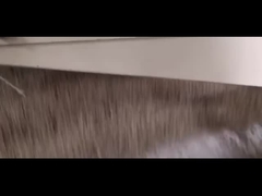 O Pre-líquido de limpeza da grão remove as grandes impurezas com a poeira e a aspiração clara das impurezas