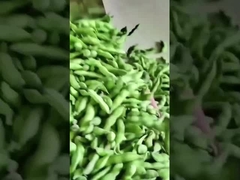 Classificador de cores Edamame