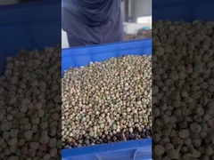 Sortador de Ervilhas