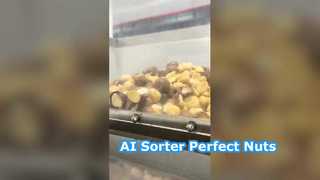 Máquina de classificação de cores inteligente de macadâmia Ai Deep Learning, 128 canais.