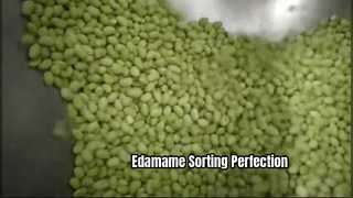 Classificador de cores tipo cinto para grãos Edamame congelados