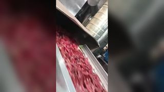 Dois classificadores de cores de pimentão rastreados