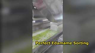Classificador de cores Edamame tipo rastreador 120