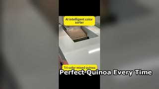 Classificador de cores de alta eficiência para quinoa premium