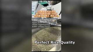 Classificador de cores de arroz de 32 canais para moinhos de arroz pequenos e médios.